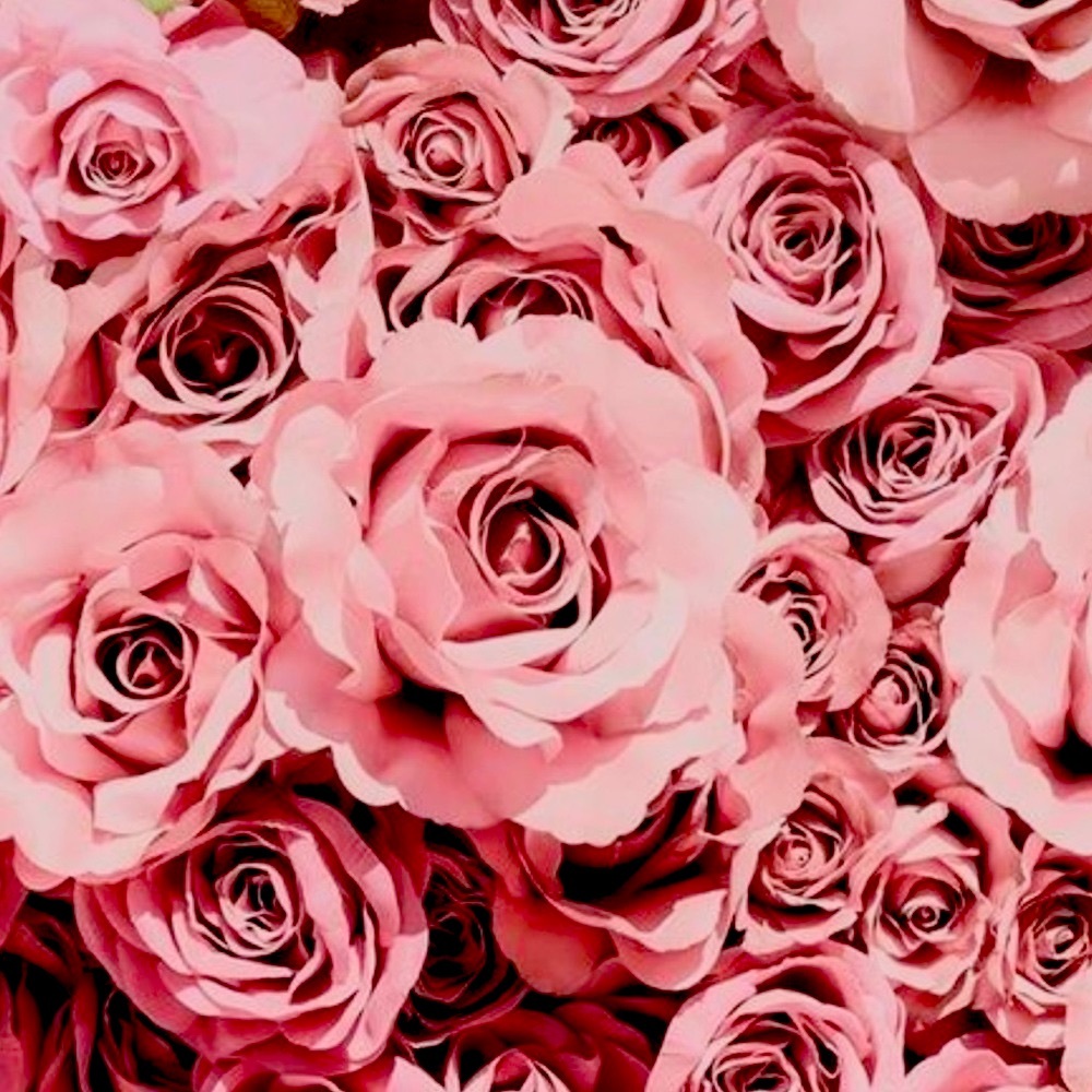 Meet your Posher, La Ch!na